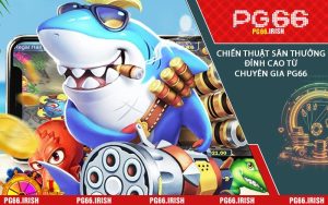 Chiến Thuật Săn Thưởng Đỉnh Cao Từ Chuyên Gia PG66