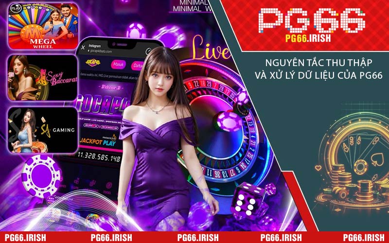 Nguyên Tắc Thu Thập Và Xử Lý Dữ Liệu Của PG66