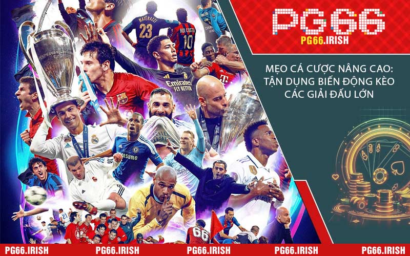 Mẹo Cá Cược Nâng Cao: Tận Dụng Biến Động Kèo Các Giải Đấu Lớn