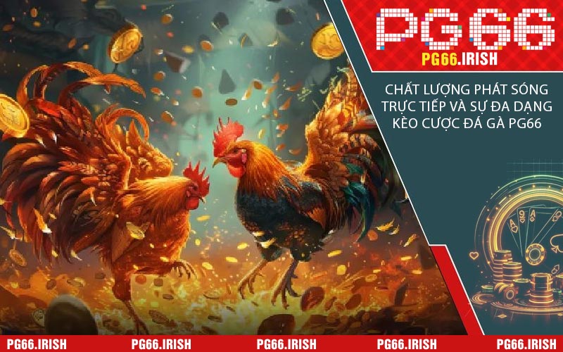 Chất Lượng Phát Sóng Trực Tiếp Và Sự Đa Dạng Kèo Cược Đá Gà PG66