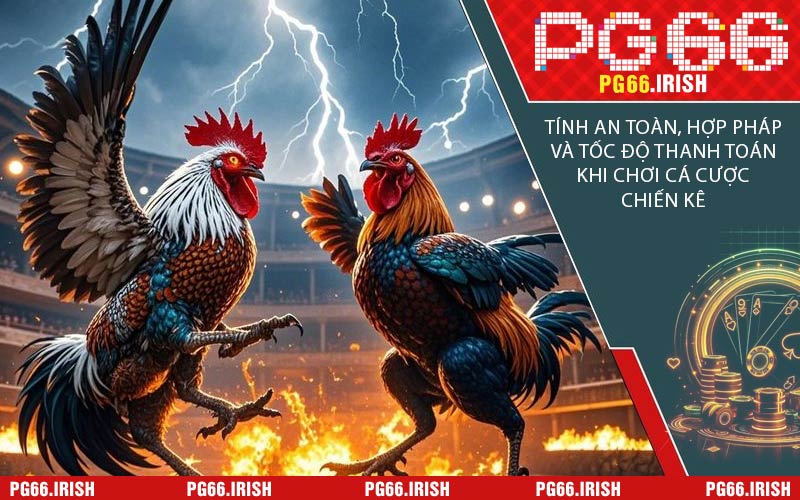 Tính An Toàn, Hợp Pháp Và Tốc Độ Thanh Toán Khi Chơi Cá Cược Chiến Kê